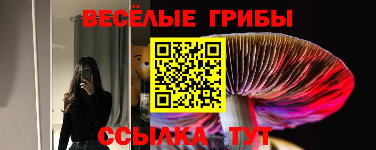 Набережные Челны  Галлюциногенные грибы мицелий  Вход с VPN 